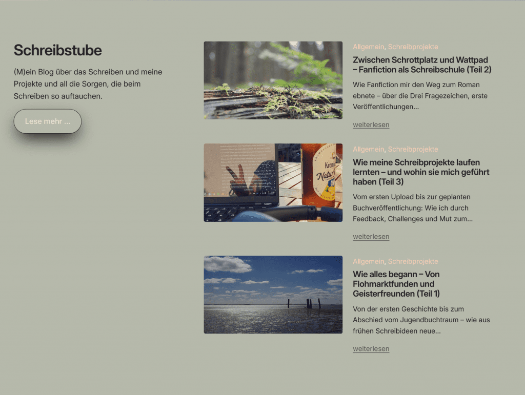 Screenshot der Übersicht über meine Blogbeiträge