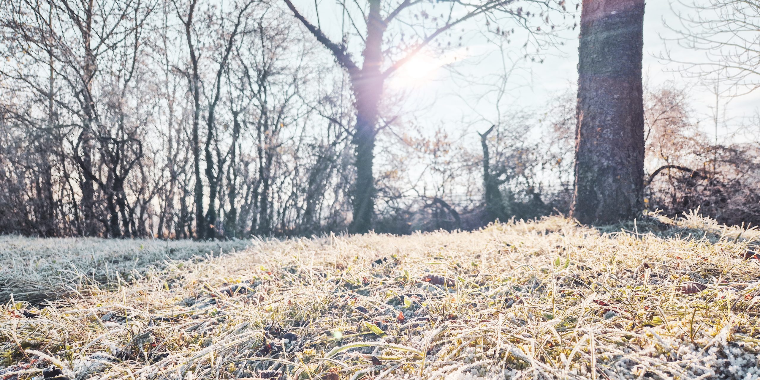 Monatsrückblick November 2025 – Imposter lässt grüßen