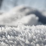 Eiskristalle in den Weinbergen