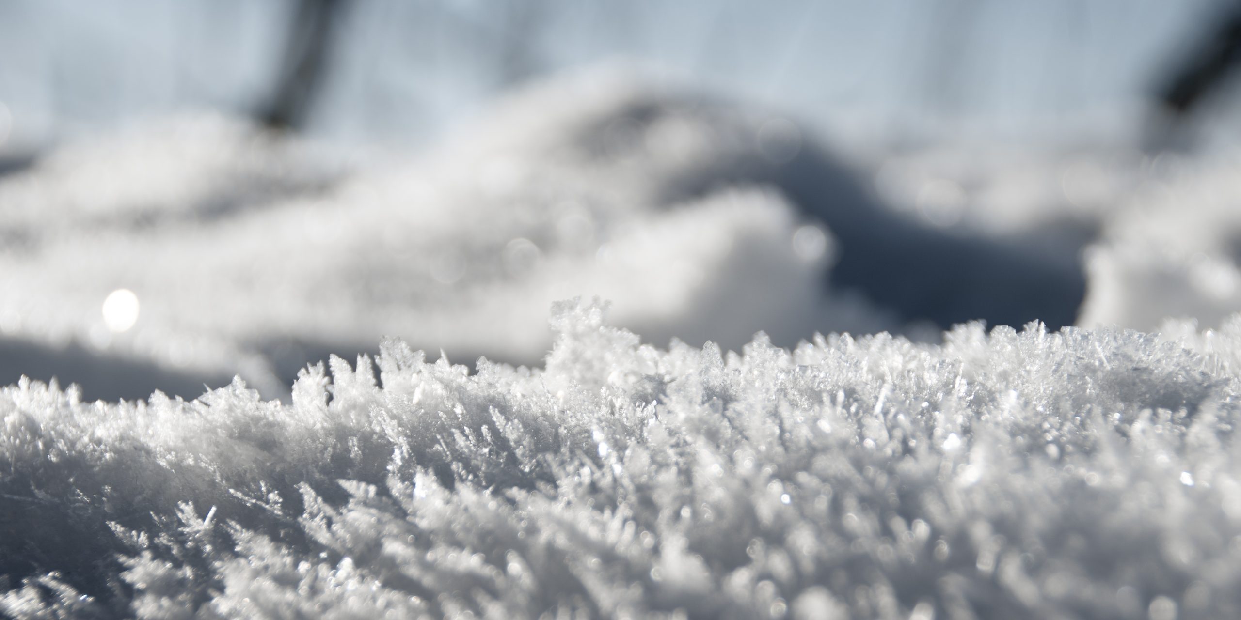 Monatsrückblick Januar 2026 – Autorinnen-Alltag zwischen Marketing und Mama-Sein