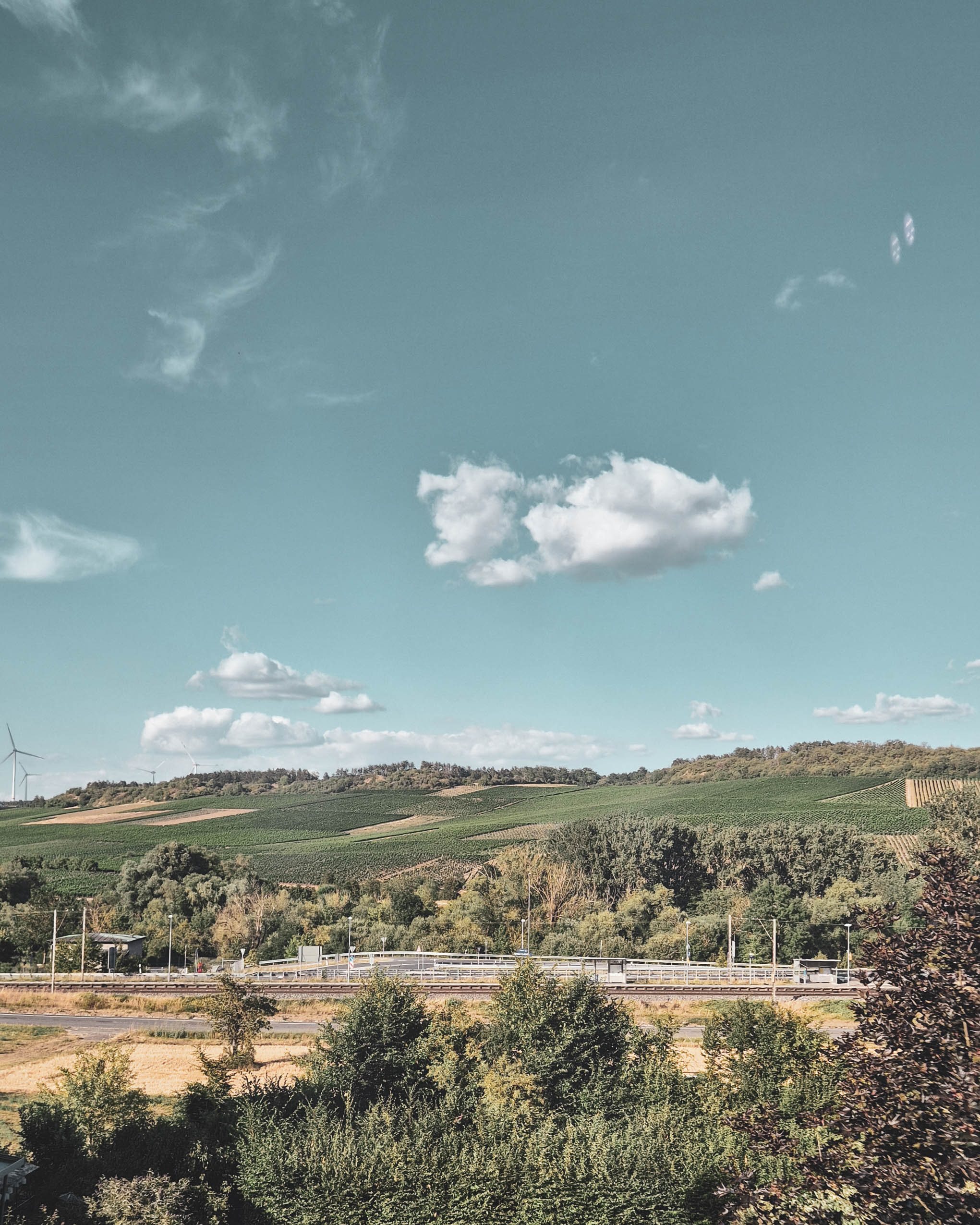 Aussicht aus dem Fenster auf die sommerlichen Weinberge